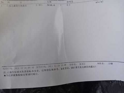 journal_insert_pic_1686536580