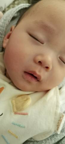 journal_insert_pic_1689566341