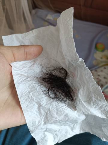 journal_insert_pic_1684139794