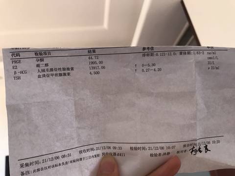 journal_insert_pic_1674778334