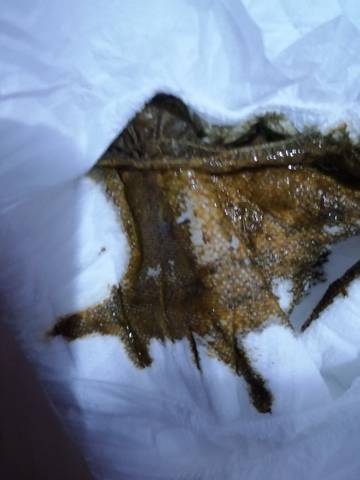 journal_insert_pic_1673150484