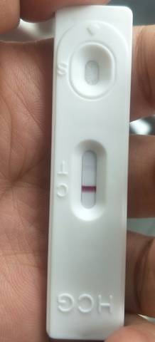 journal_insert_pic_1688874602