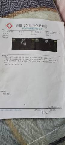 journal_insert_pic_1675995787