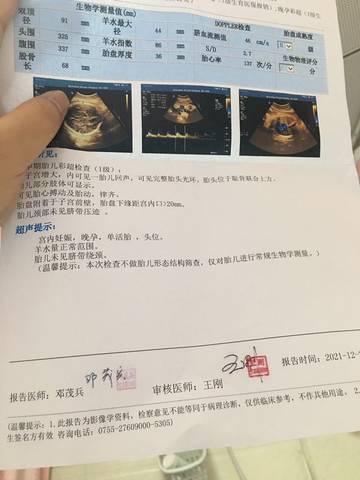journal_insert_pic_1683596638