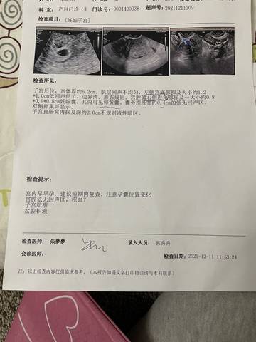 journal_insert_pic_1681161991