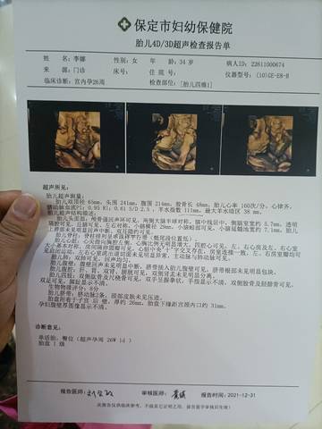 journal_insert_pic_1689736005