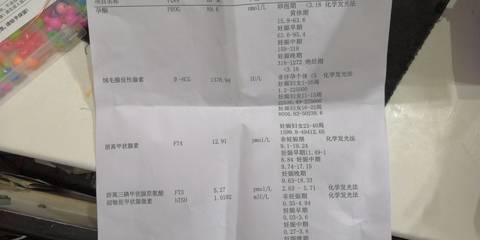journal_insert_pic_1685124582