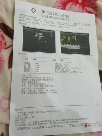journal_insert_pic_1720036162