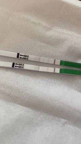 journal_insert_pic_1720013008