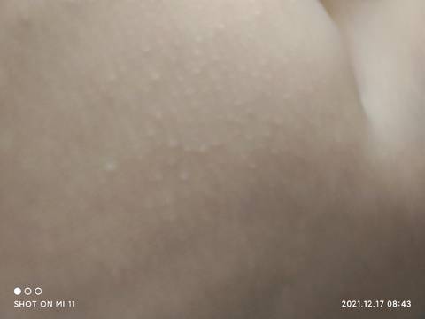 journal_insert_pic_1681356309