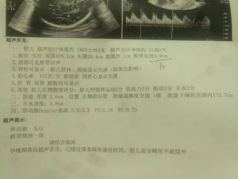 journal_insert_pic_1684302376