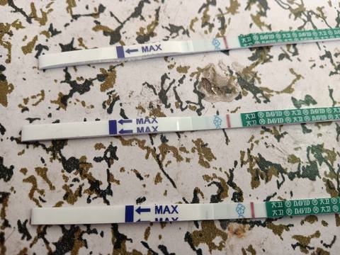 journal_insert_pic_1674604622