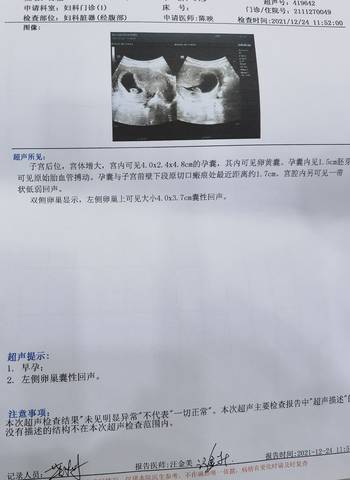 journal_insert_pic_1685256286