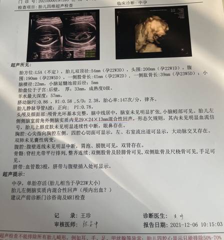 journal_insert_pic_1675473372