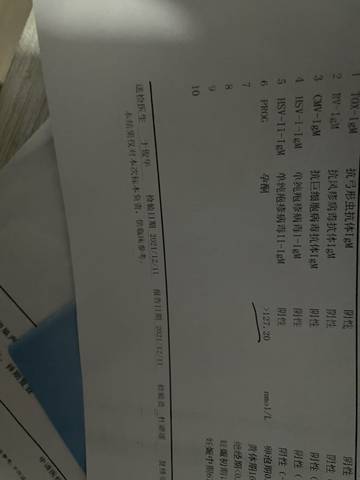 journal_insert_pic_1678035165
