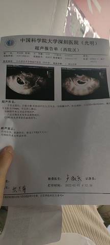 journal_insert_pic_1690028425
