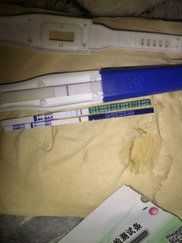 journal_insert_pic_1684016813