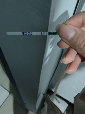 journal_insert_pic_1673289227