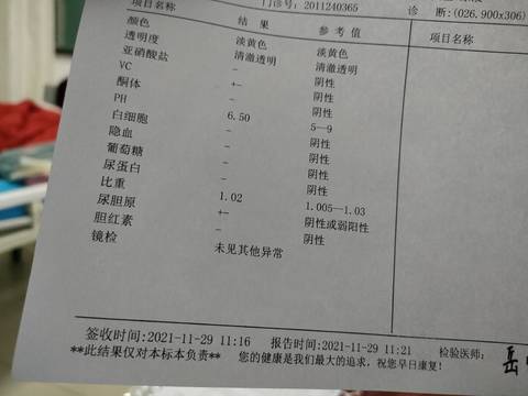 journal_insert_pic_1677606789