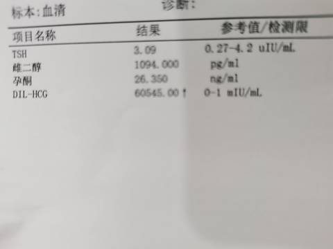 journal_insert_pic_1673042075