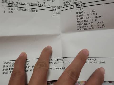 journal_insert_pic_1682750299