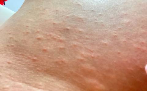 journal_insert_pic_1685881006