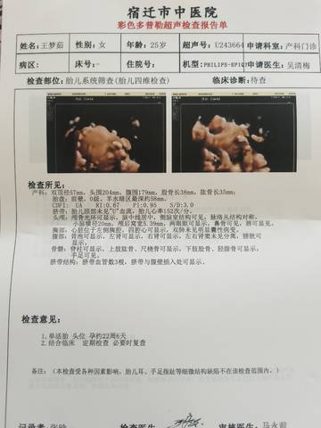 journal_insert_pic_1684338966