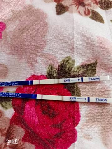 journal_insert_pic_1676000060