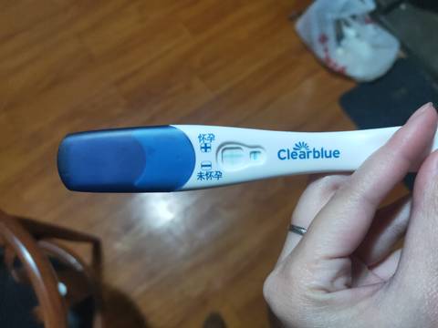 journal_insert_pic_1688796455