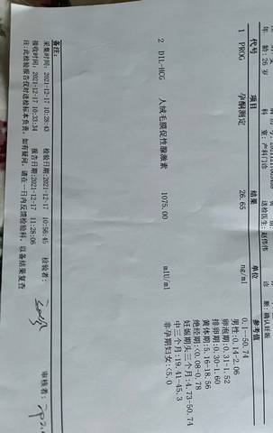 journal_insert_pic_1681580178