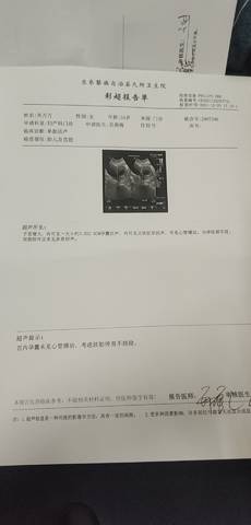 journal_insert_pic_1683212788