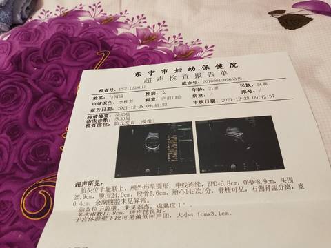 journal_insert_pic_1687788117
