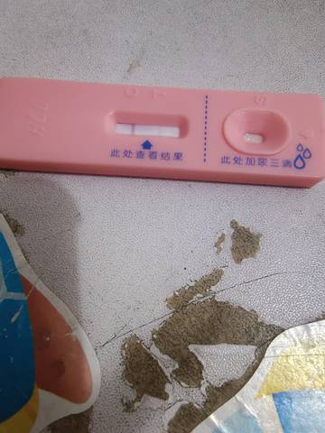 journal_insert_pic_1675575475