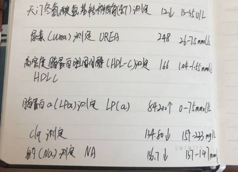 journal_insert_pic_1690036721