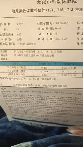 journal_insert_pic_1686505207
