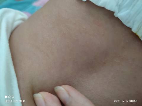 journal_insert_pic_1681356227