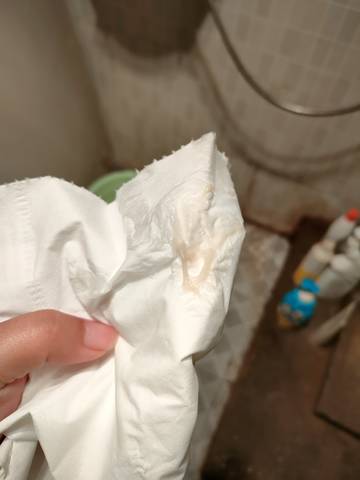 journal_insert_pic_1686019300