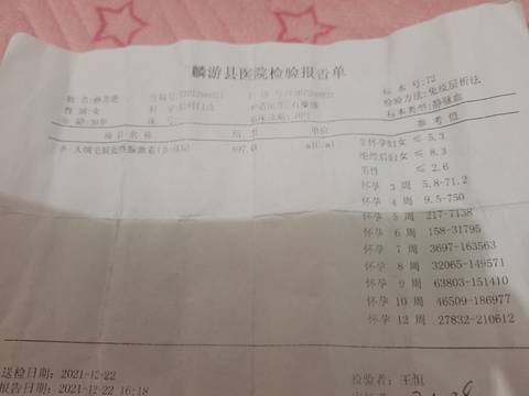 journal_insert_pic_1684383283