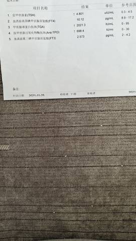journal_insert_pic_1678124078