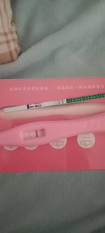 journal_insert_pic_1685832483