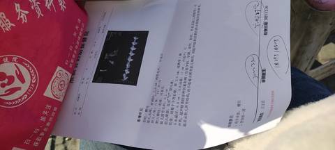 journal_insert_pic_1688878457