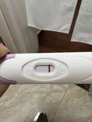 journal_insert_pic_1719905727