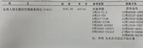 journal_insert_pic_1685824050