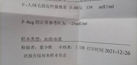 journal_insert_pic_1686928404