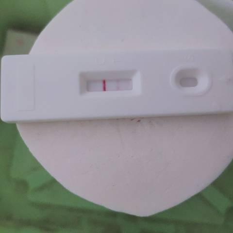 journal_insert_pic_1689395902