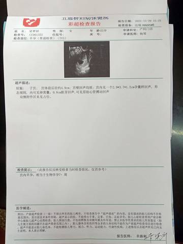 journal_insert_pic_1688958007