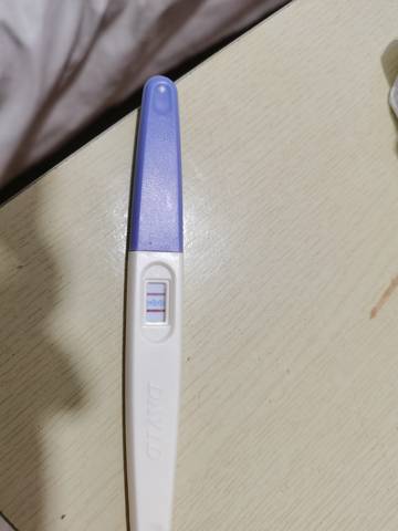 journal_insert_pic_1685435338