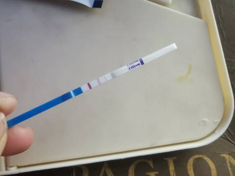 journal_insert_pic_1674288634