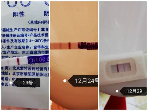 journal_insert_pic_1688110319