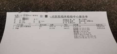journal_insert_pic_1688288347